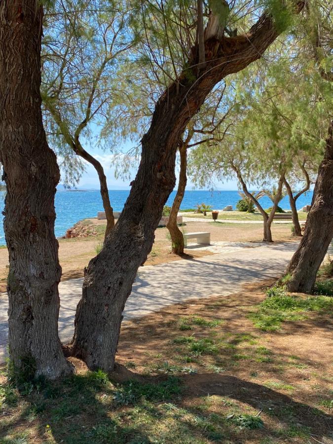 Athens-Riviera Luxury Apartment Sea View Voula Esterno foto